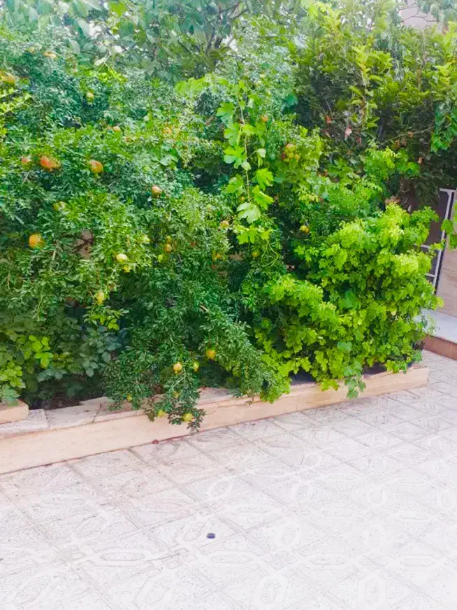 اجاره ۱۳۵متری طبقه اول ویلایی
