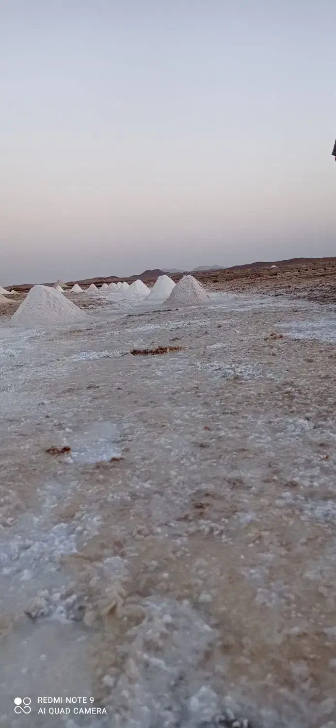 زمین مزروعی زیر دانشگاه پیام نور