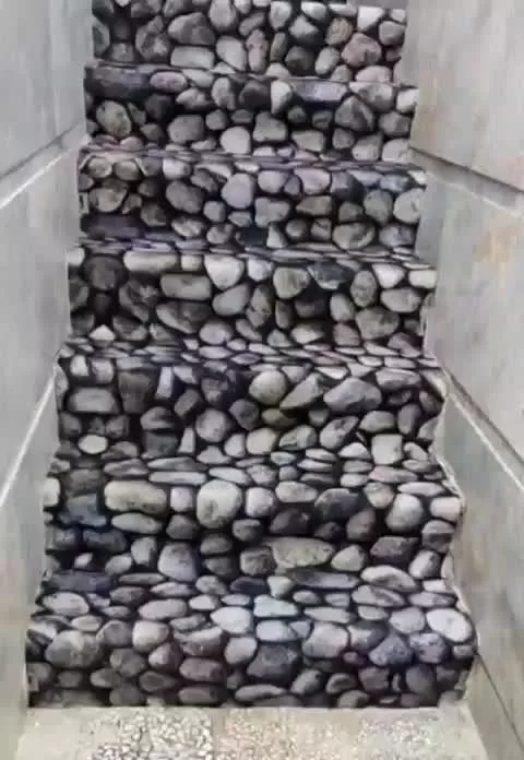 سوئیت خوشجا و جم و‌جور