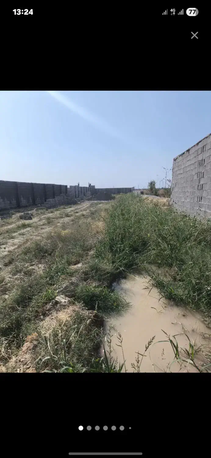 زمین باغی