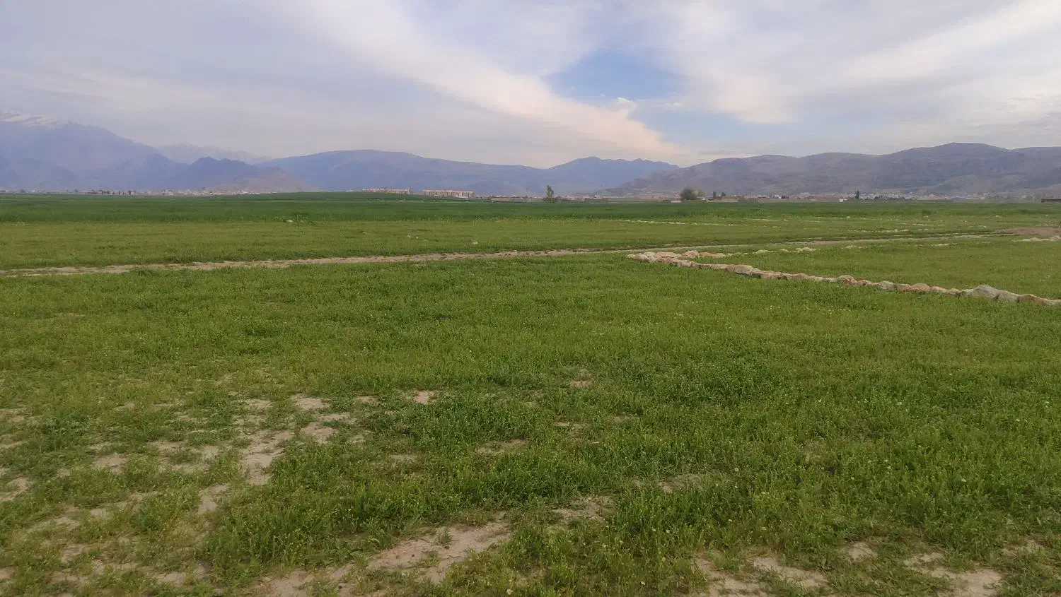 زمین به متراژ۲۵۰متر