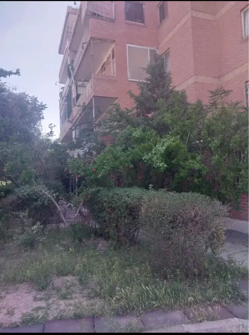 شریک برای سه دانگ آپارتمان