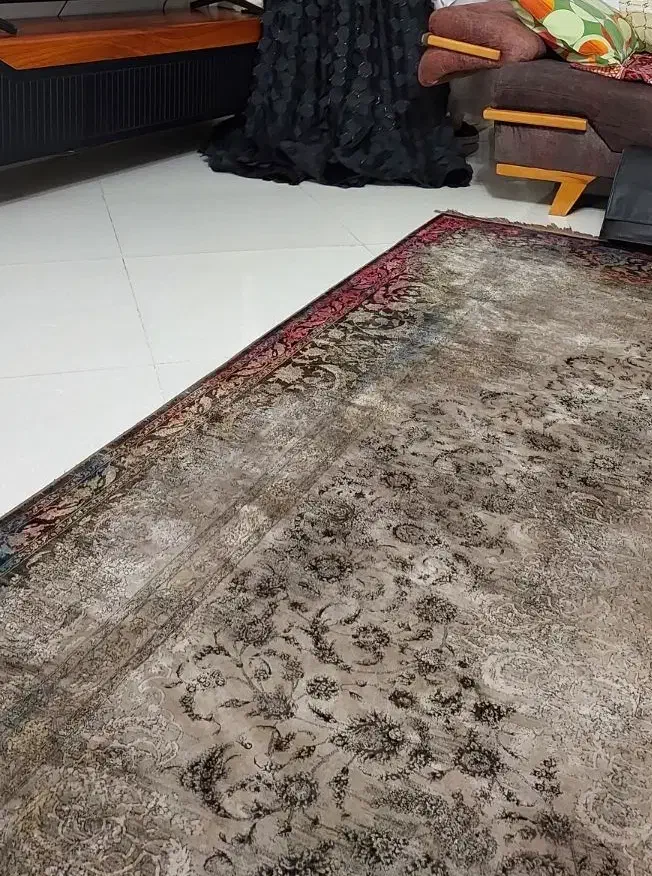 همخونه خانم شاغل و دانشجو