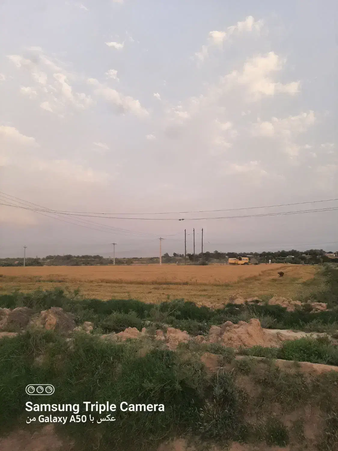کشاورزی