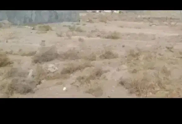 ۷ قصب زمین مسکونی ماهان سند تک برگ