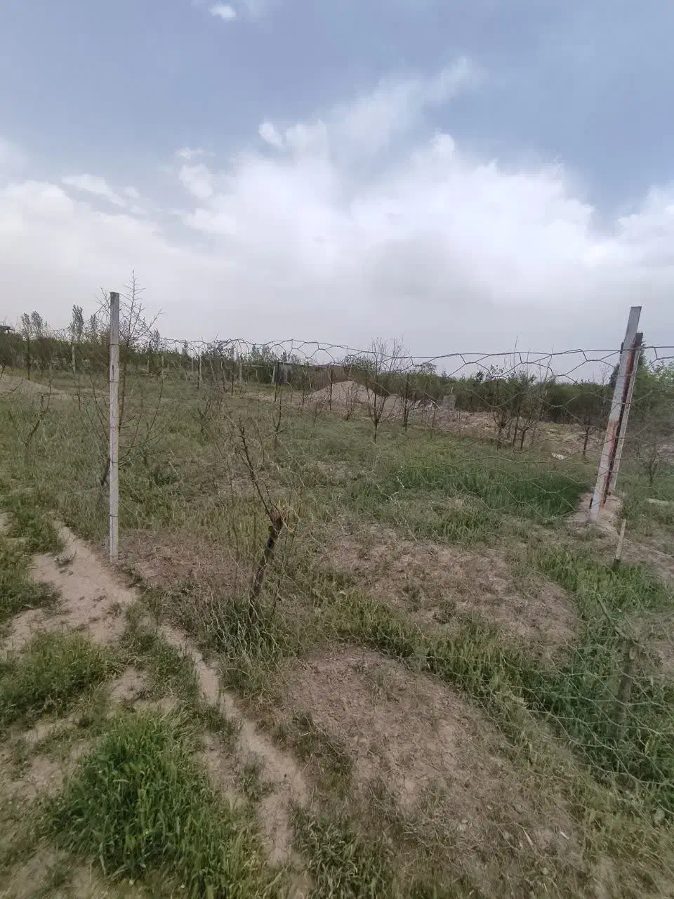 باغچه تر و تمیز ابراهیم بیگ (معاوضه با خودرو)