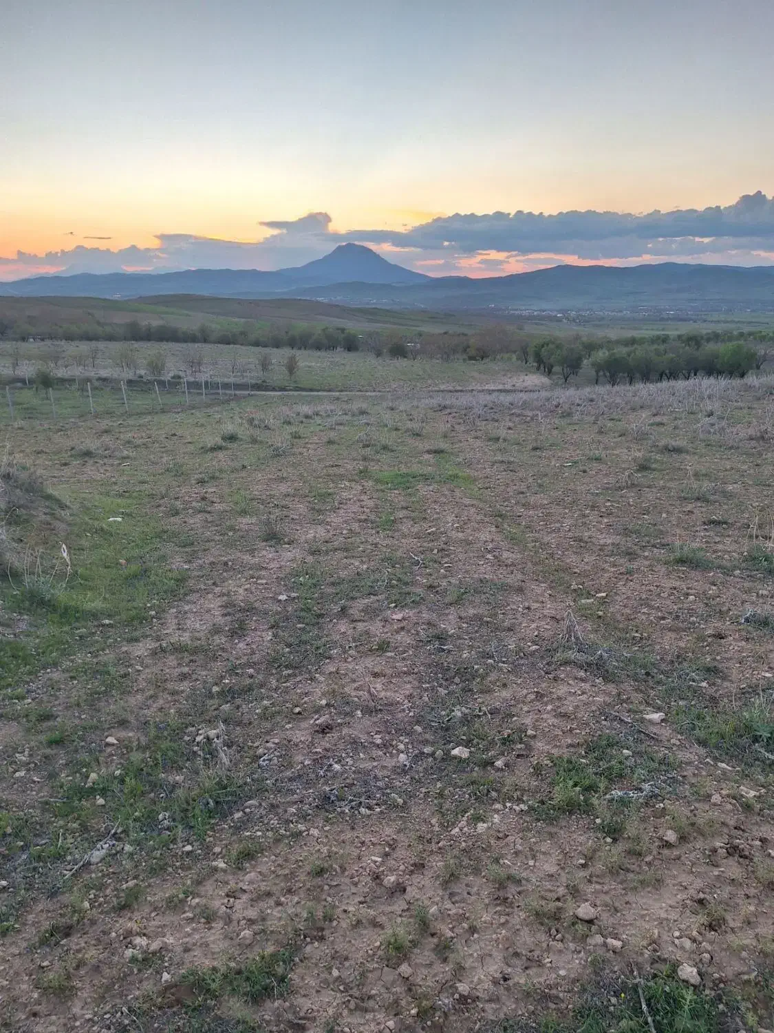 ۳۵۰۰ متر زمین کشاورزی روستای دارانی ، بر جاده اصلی