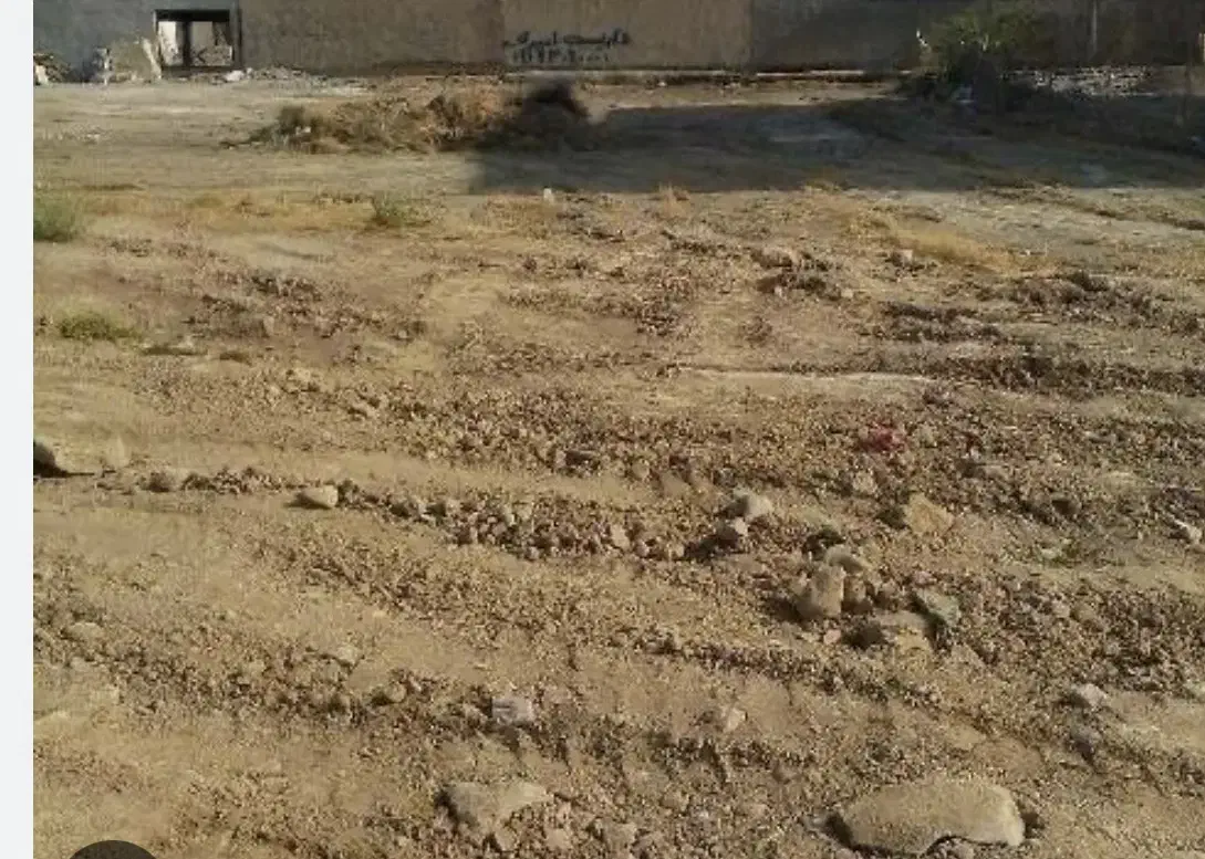 زمین در فاروج
