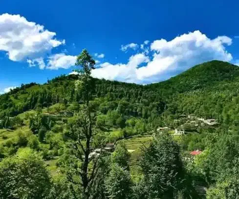 زمین