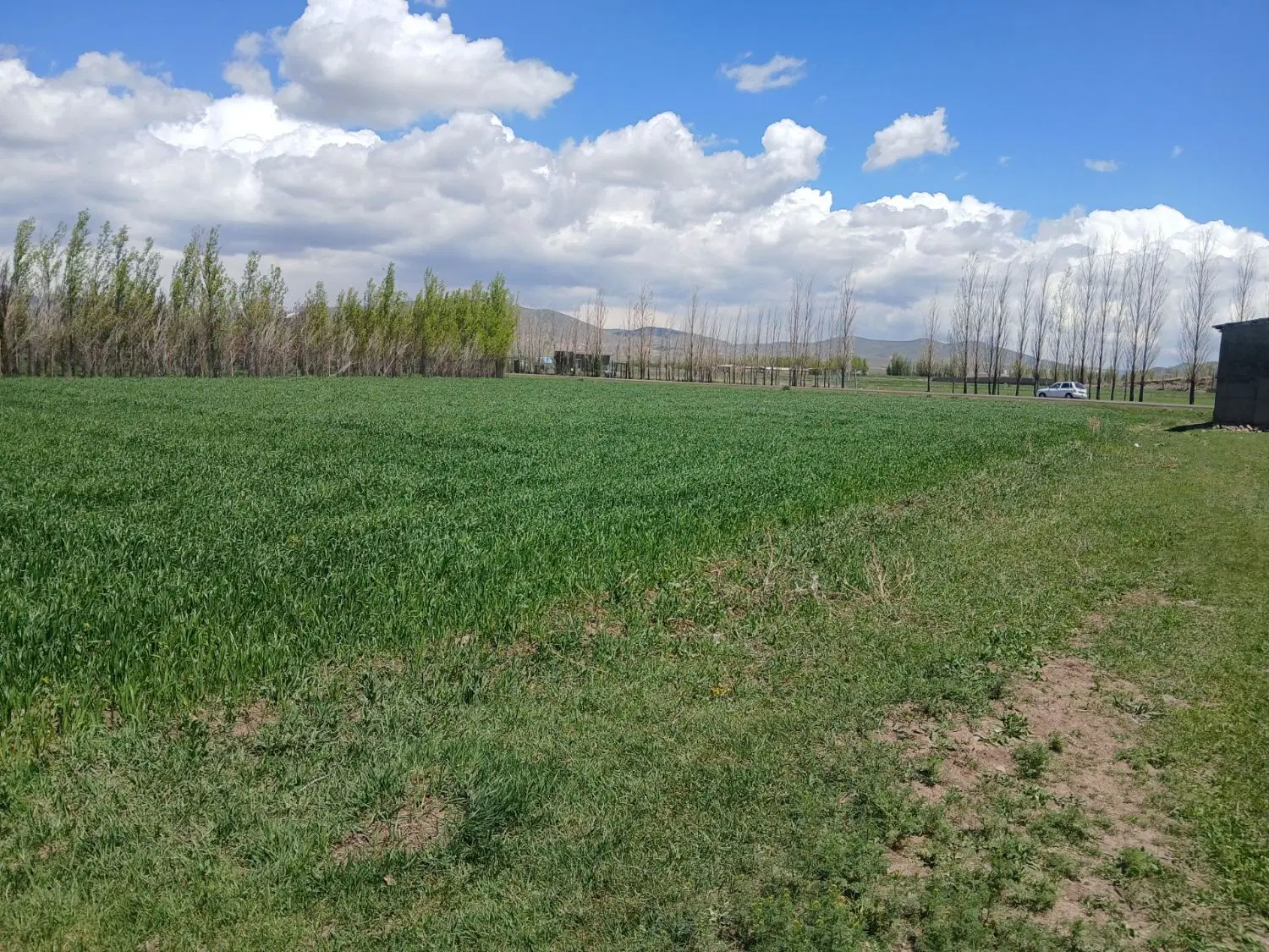 فروش زمین کشاورزی واقع در روستای طاران