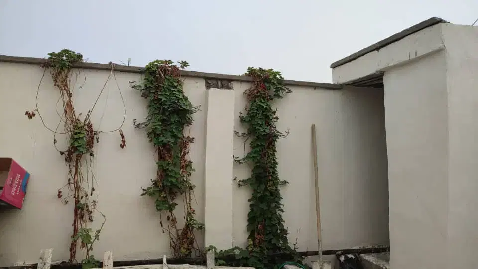 منزل ویلایی لنگک تخلیه