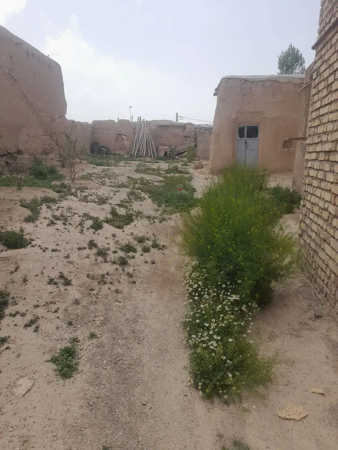 فروش خانه وزمین