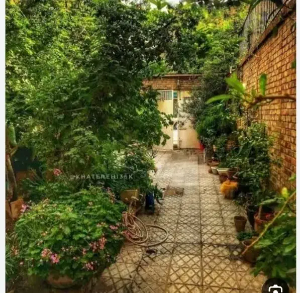 خانه اجاره لوتان