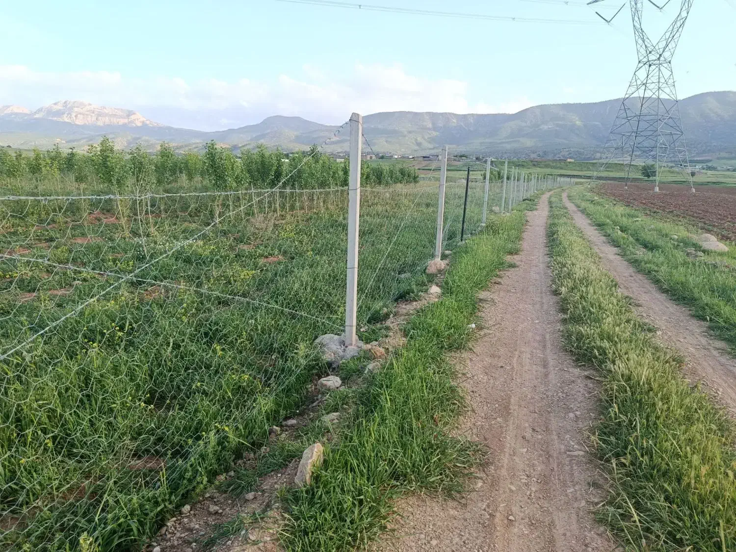 زمین بارانی