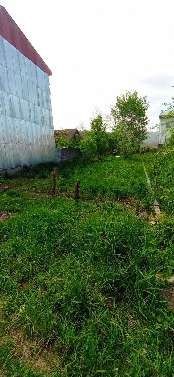 زمین مسکونی به متراژ 295