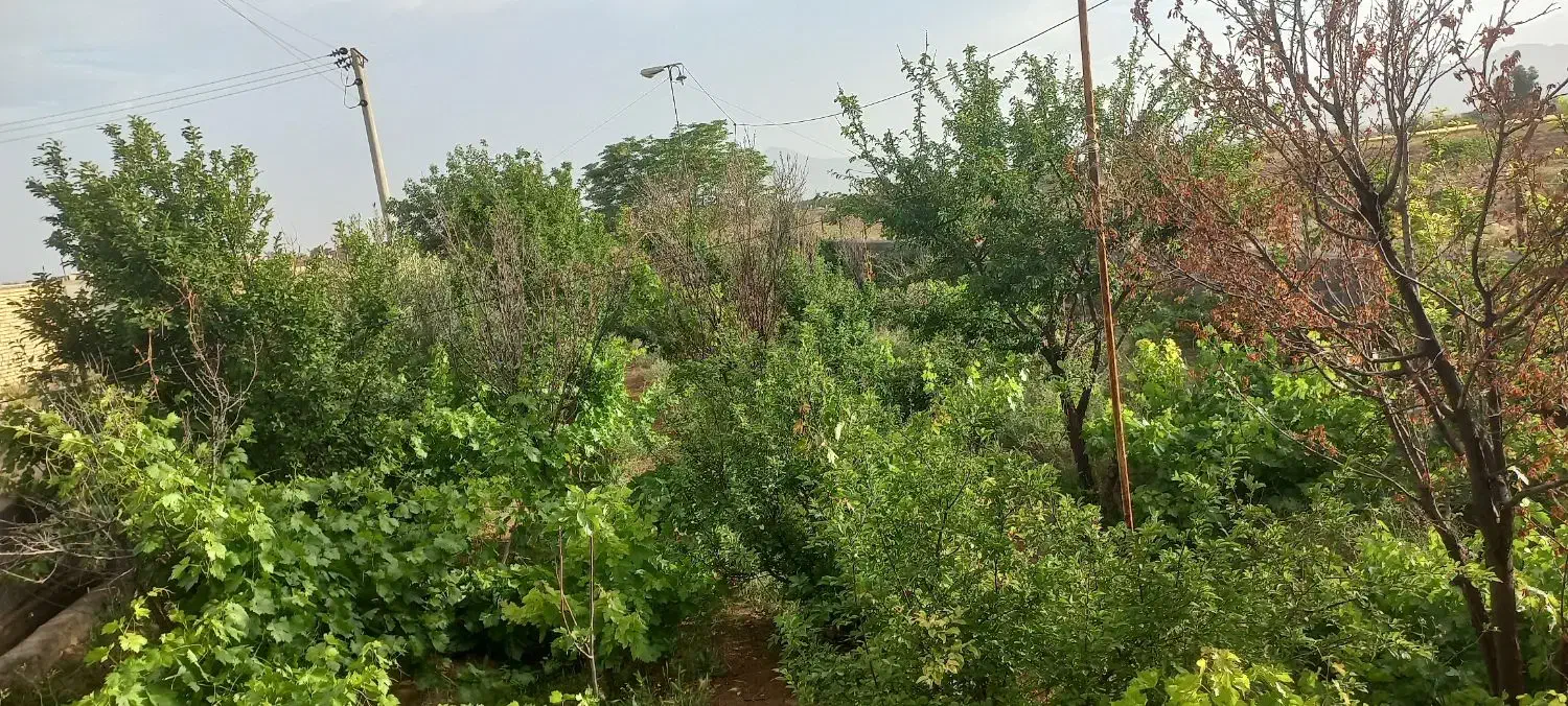 زمین شهرک الماس