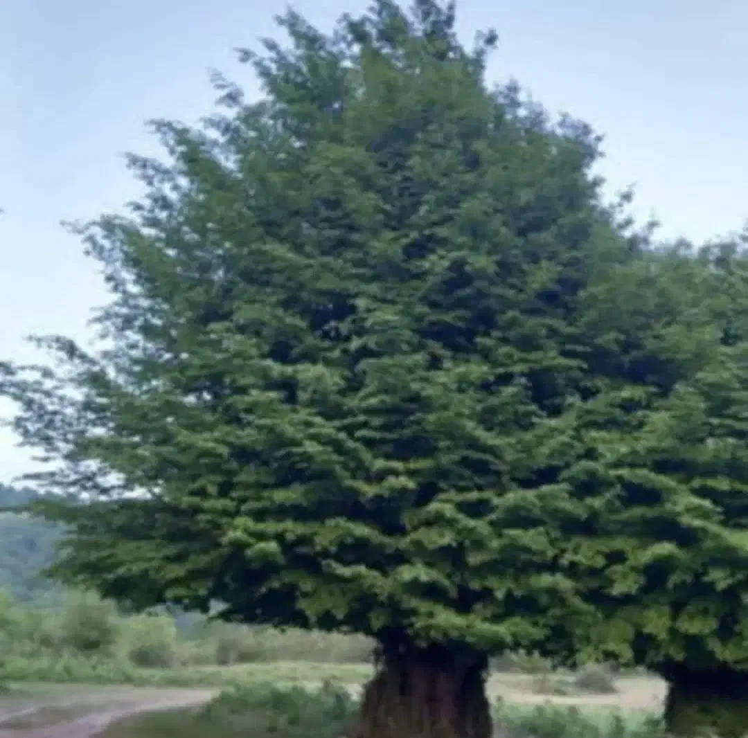 فروش خانه ویلایی