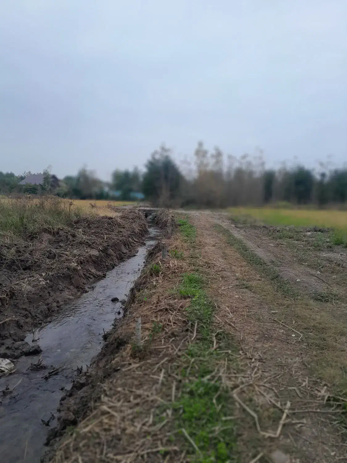 فروش زمین کشاورزی