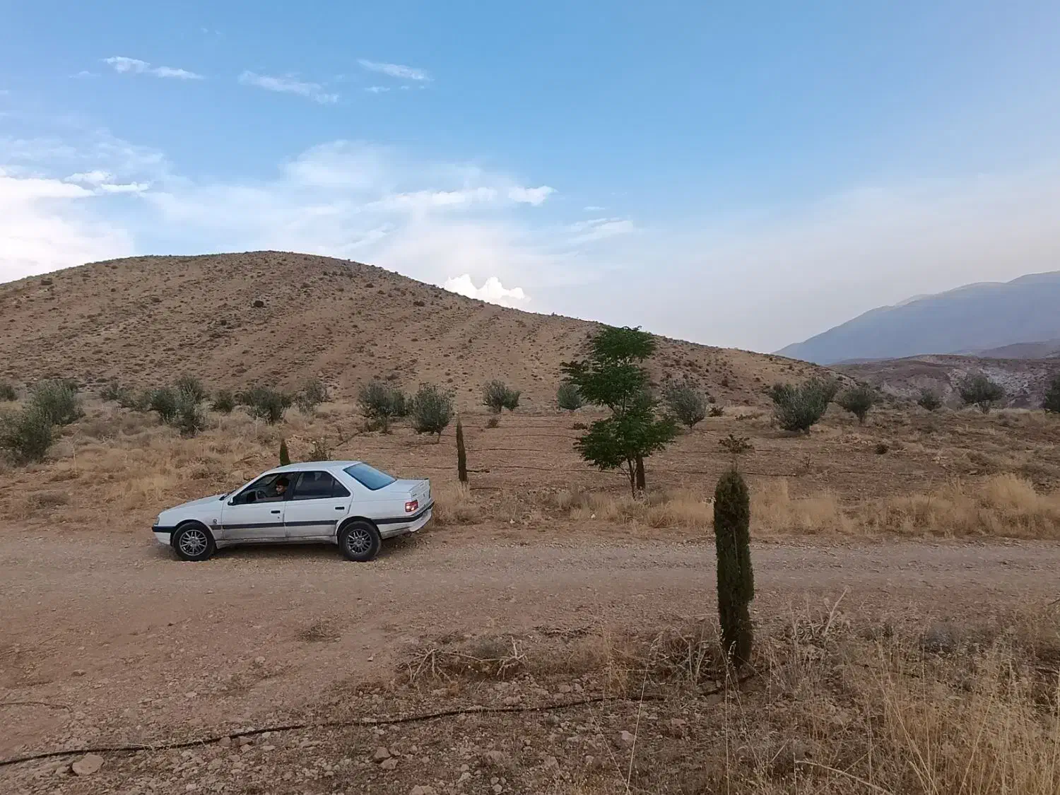 زمین باغ شهر