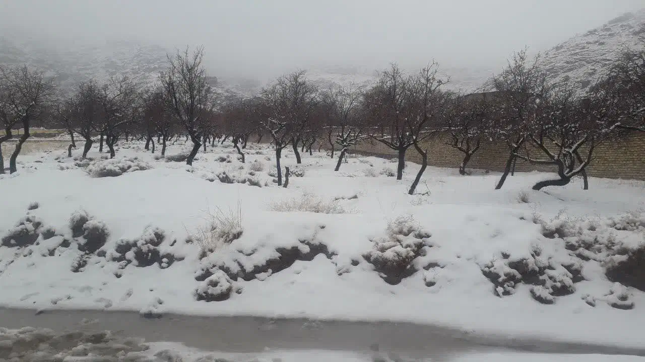 باغ زردین باآب قنات