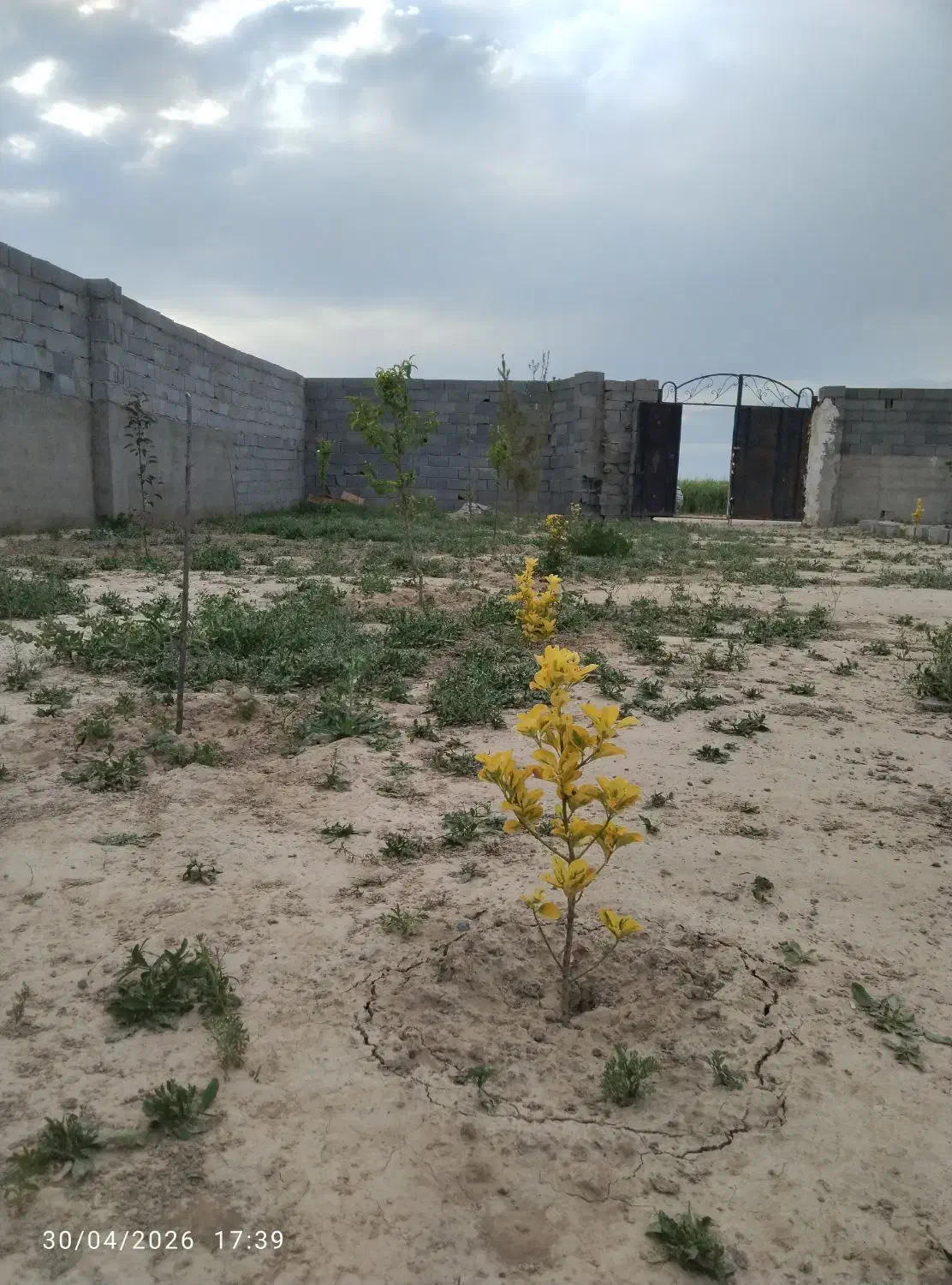 باغ
