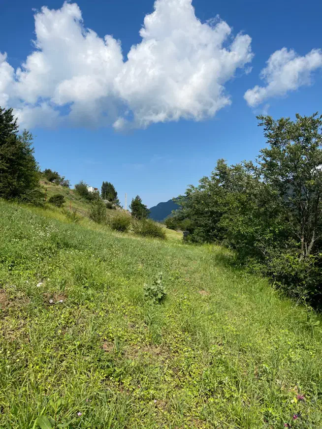 فروش زمین۵۰۰ متری در ییلاق ریک روستای لنبه در تالش