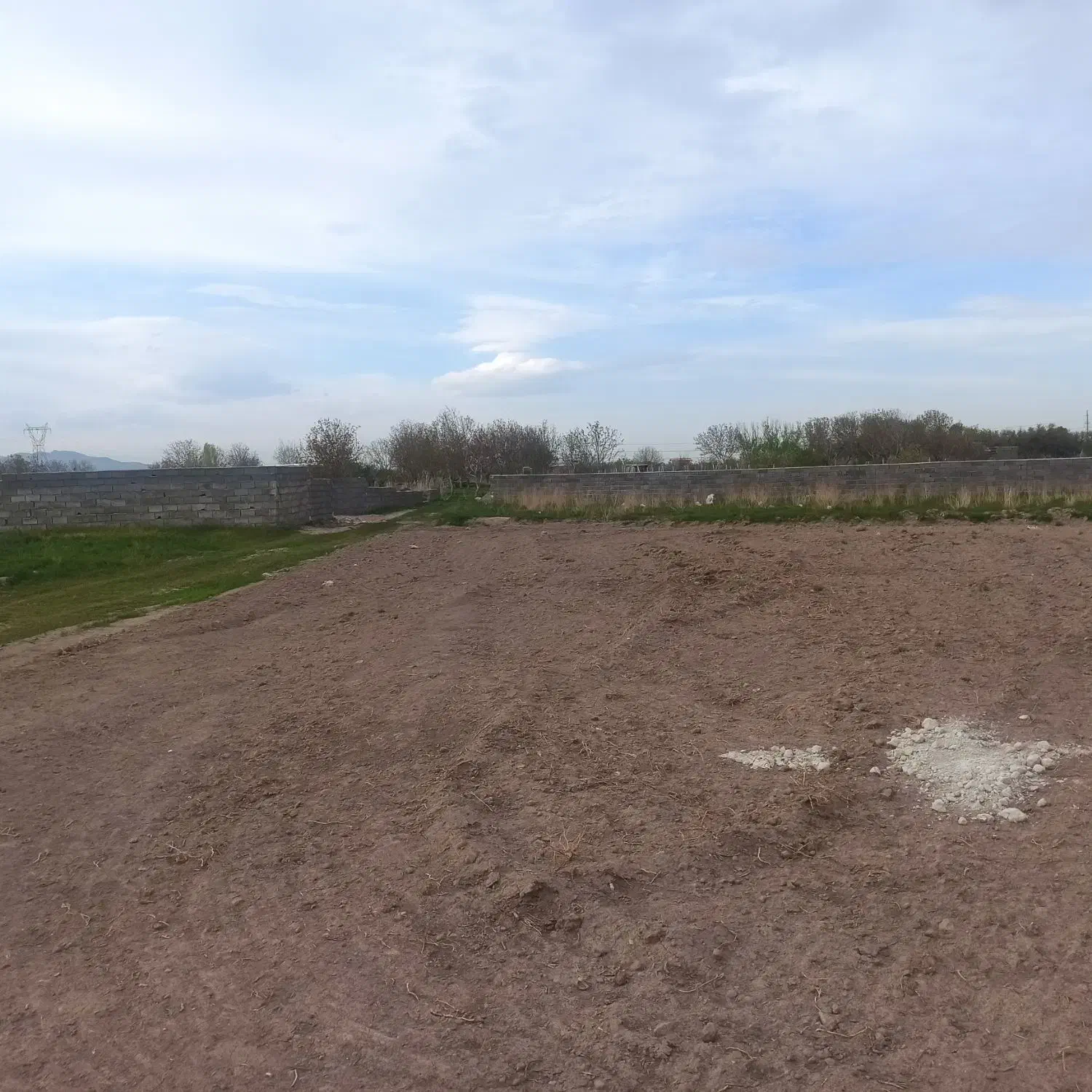 زمین زراعی ۵۰۰ متر روستای شورکند کوی بهارستان