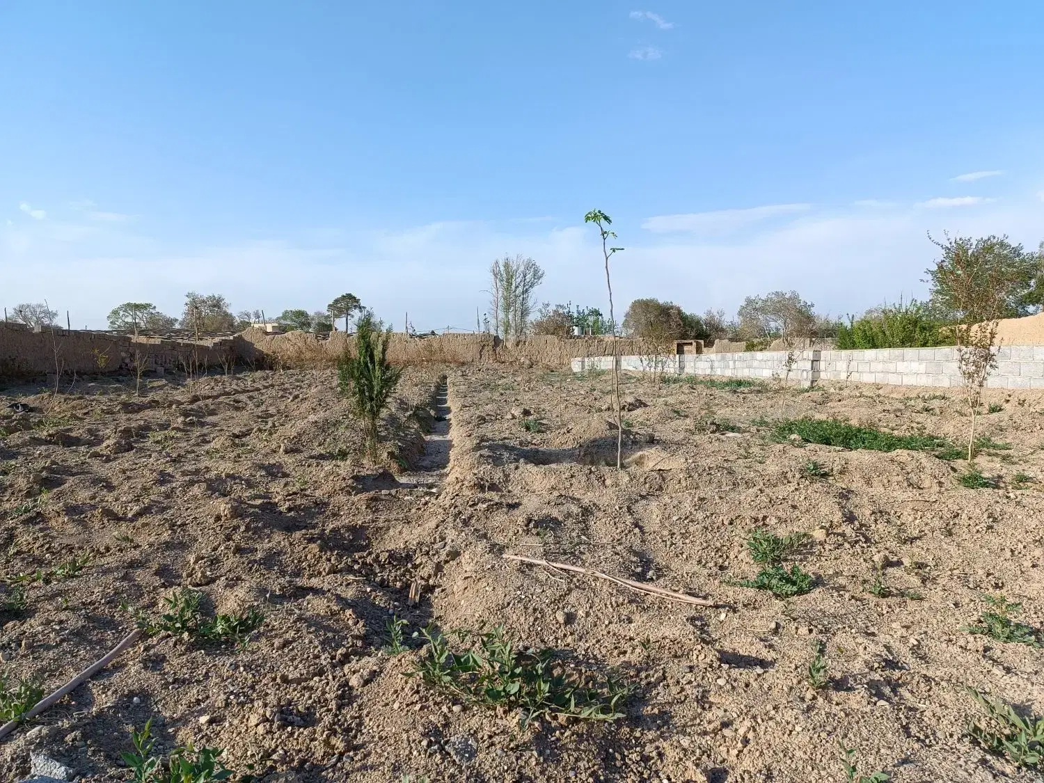 باغ  درخوده شهر اصفهان