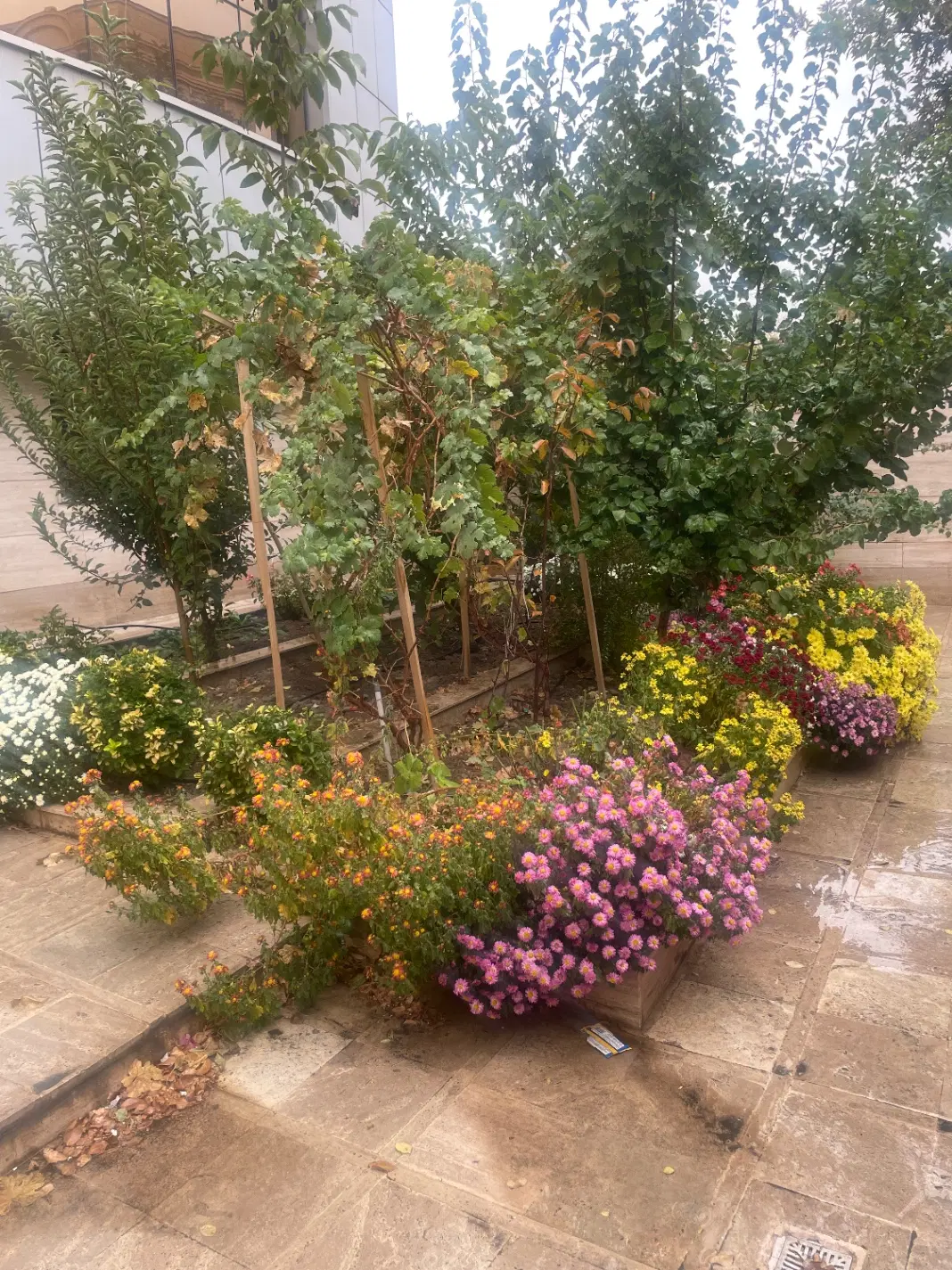 مغازه اجاره ای بر اصلی بین فلکه دوم وسوم