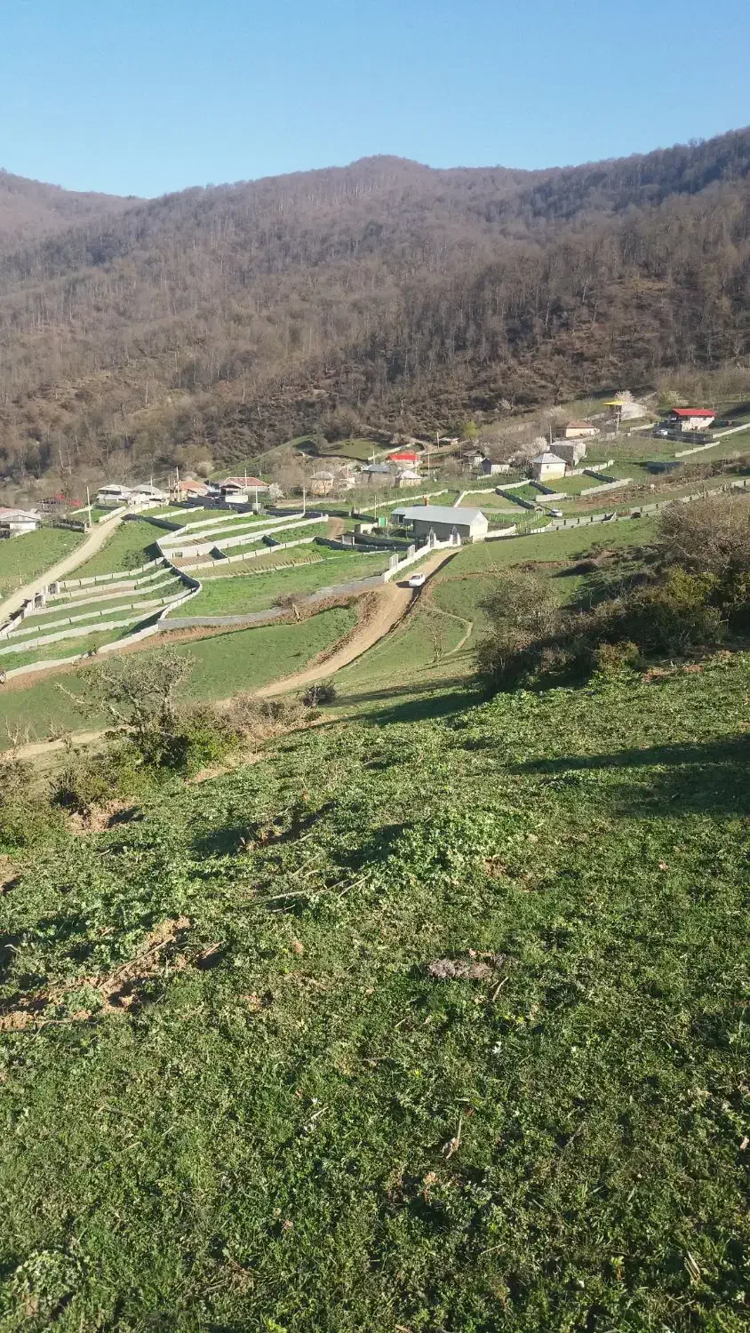 فروش زمین در سوادکوه