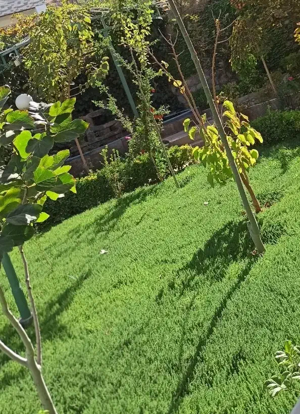 باغچه