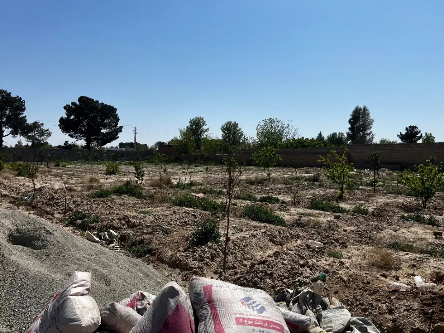 زمین باغی