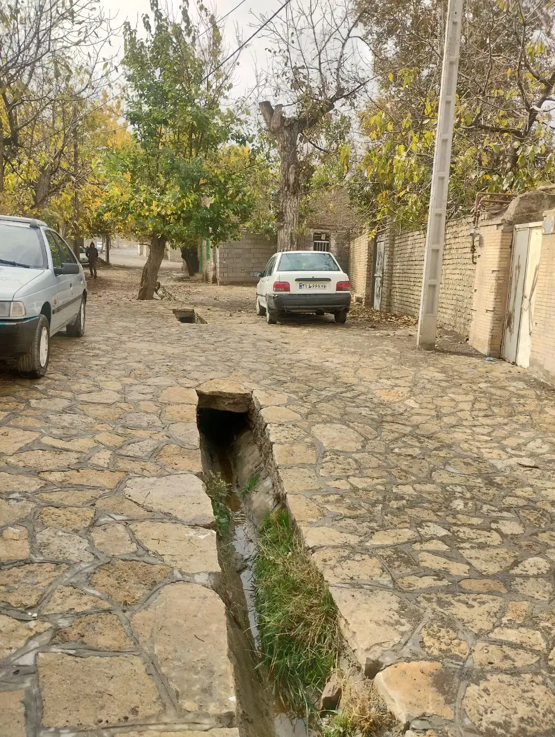 زمین باغی گلمکان چنار