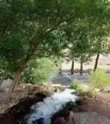 فروش باغ در بهترین آب هوا