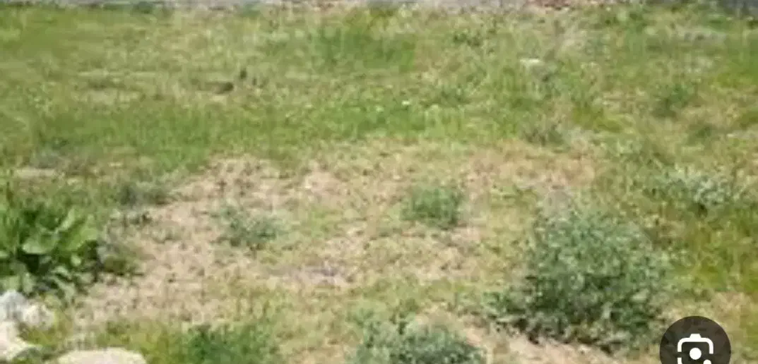 زمین مسکونی_خشکبیجار_