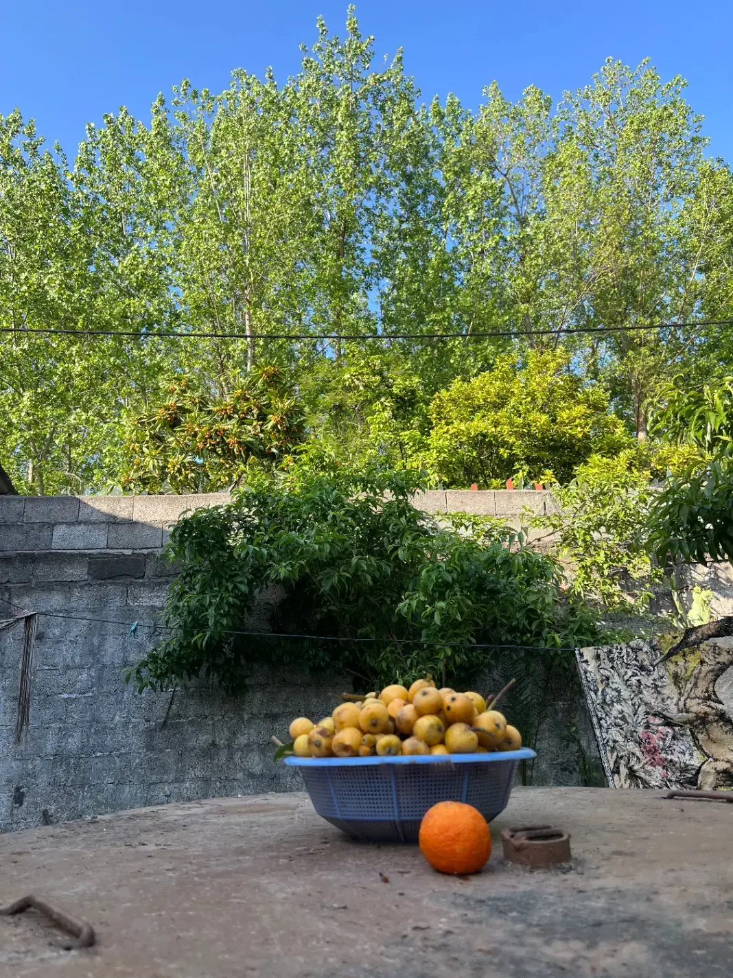 ویلای بازسازی شده انزلی
