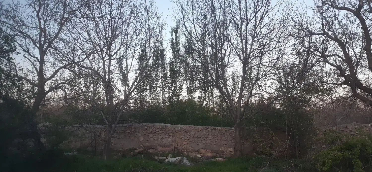 باغ