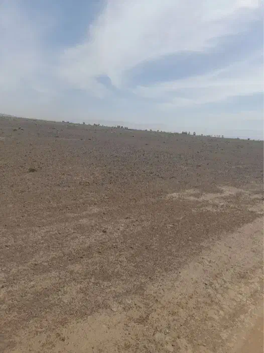 زمین کشاورزی ۶۰ هکتاری