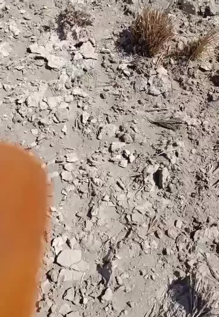 فروش‌۱۸۷۰۰هجده‌هزاروهفتصدمترمربع‌