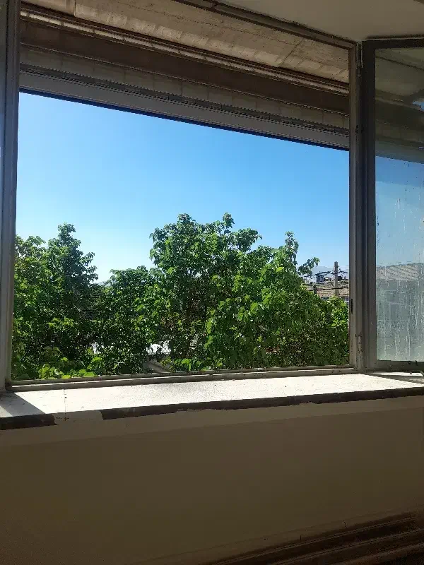 مغازه