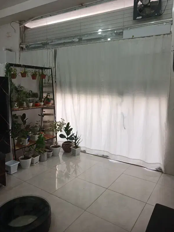 اجاره واحد تجاری