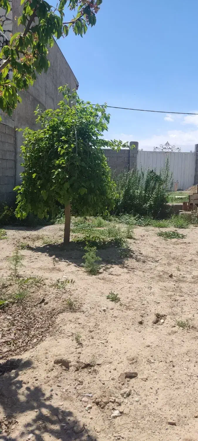 700 متر ویلایی با سند شش دانگ روستای حاجی تپه