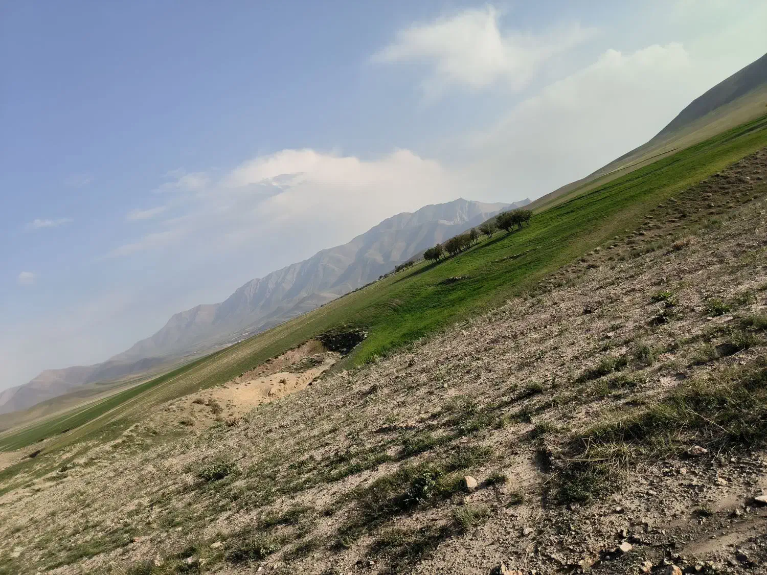 فروش زمین مسکونی