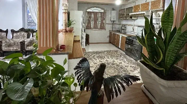 اجاره خانه (منزل )ویلایی شهرک مولوی