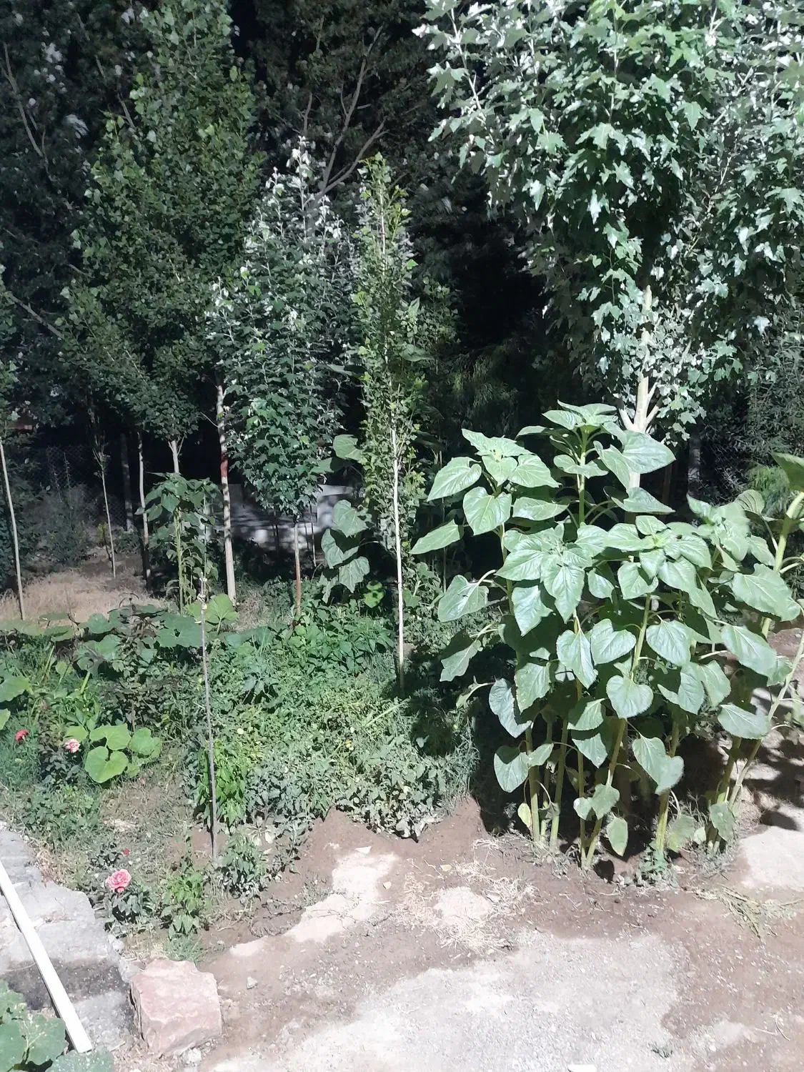 فروش ویلای آماده در سعیدآباد