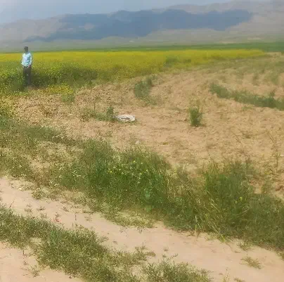 زمین10هکتار و چاه برقی
