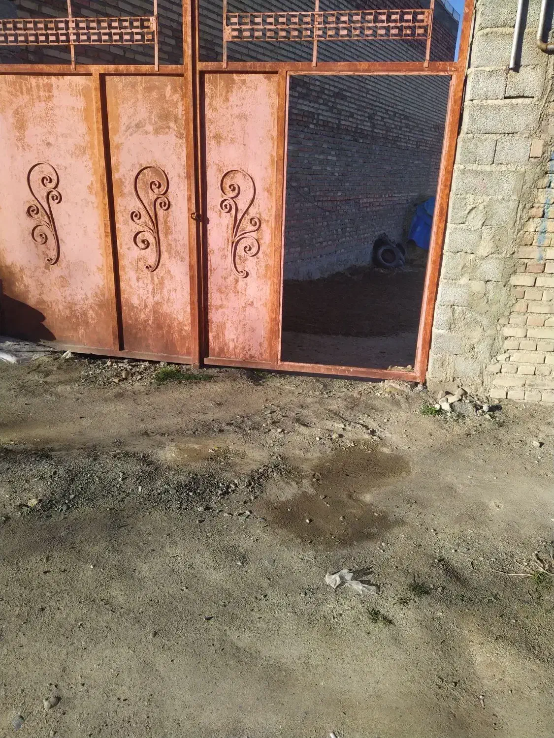 دامداری