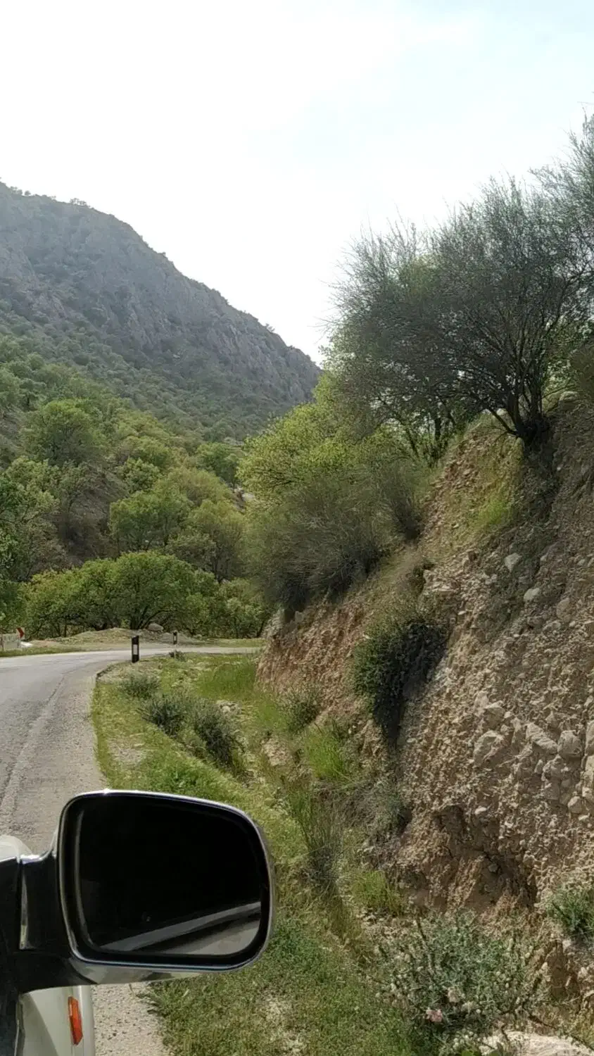 زمین کلستان