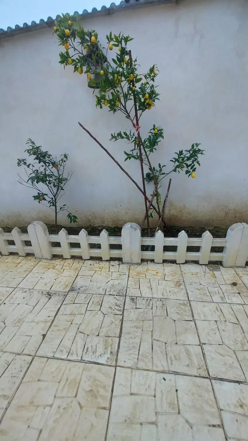 ویلا ۲۵۰متری ویودار ۴خواب سندششدانگ کتالم