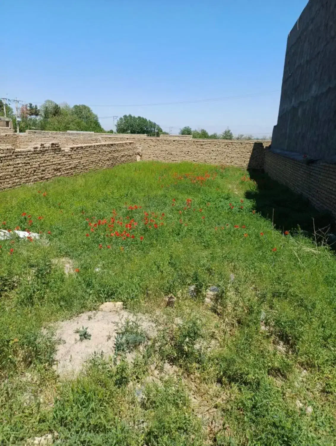 زمین  با پروانه تسویه شده  مناسب ساخت